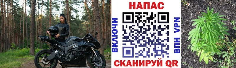 Где продают наркотики Чайковский Кокаин  ОМГ ОМГ ONION  Канабис  АМФЕТАМИН 