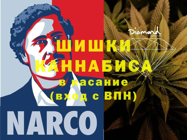 бошки Ладушкин