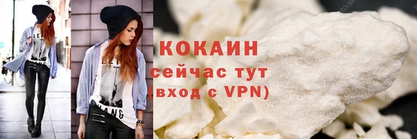 бошки Ладушкин