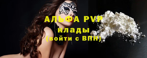 бошки Ладушкин