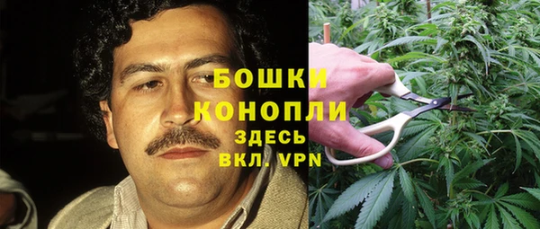 дурь Новозыбков