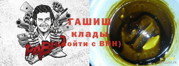 бошки Ладушкин