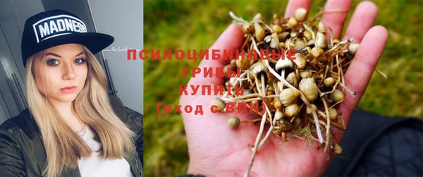 кокс Струнино