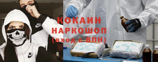 бошки Ладушкин