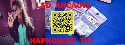 дмт Камышлов