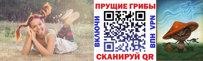 Галлюциногенные грибы GOLDEN TEACHER  Чайковский 