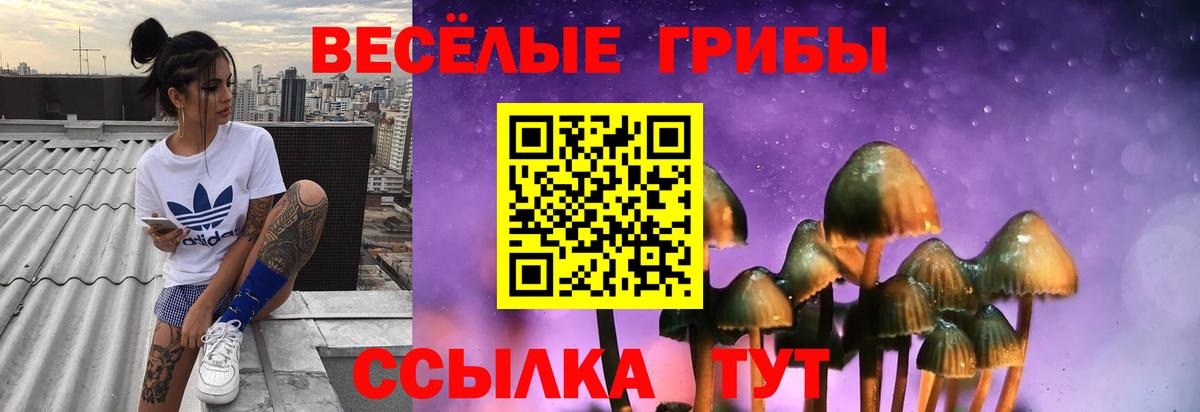 Чайковский  Галлюциногенные грибы мухоморы  купить  сайты  Вход с VPN 