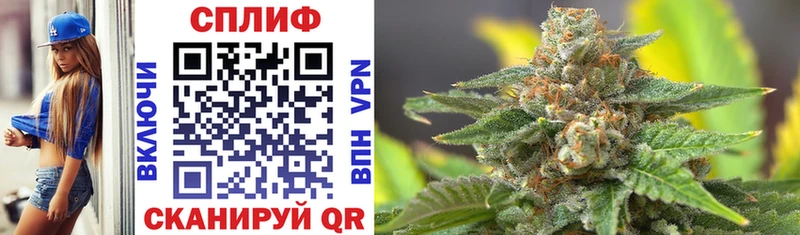 Конопля SATIVA & INDICA  Чайковский 