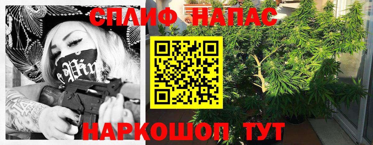 Канабис MAZAR Чайковский